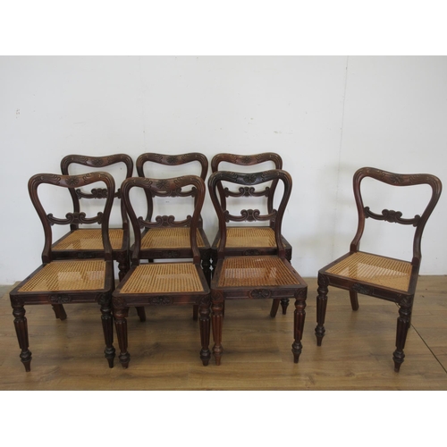 458 - A set of eight William IV rosewood Dining Chairs with carved top rails, cane panelled seats on reede... 