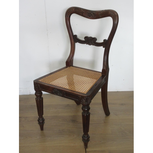 458 - A set of eight William IV rosewood Dining Chairs with carved top rails, cane panelled seats on reede... 