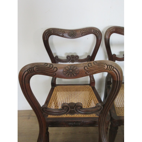 458 - A set of eight William IV rosewood Dining Chairs with carved top rails, cane panelled seats on reede... 