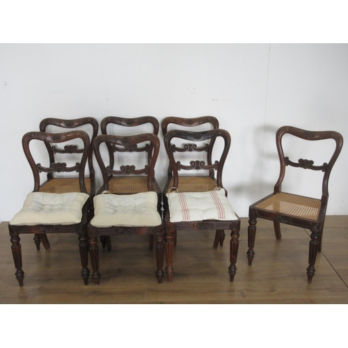 458 - A set of eight William IV rosewood Dining Chairs with carved top rails, cane panelled seats on reede... 