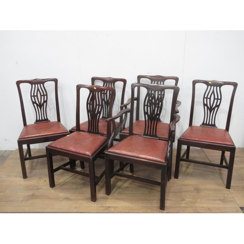 489 - A set of six Georgian style Dining Chairs with pierced splats, drop-in seats on squared supports and... 