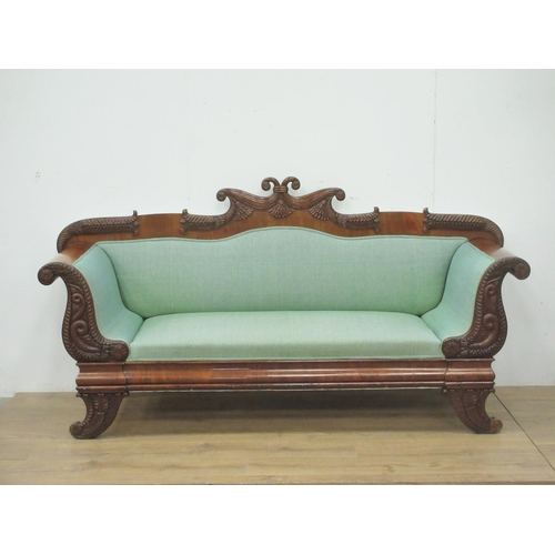 495 - A 19th Century mahogany framed Biedermeier style Sofa with dolphin, leafage and scrolled decoration ... 