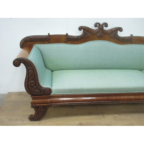 495 - A 19th Century mahogany framed Biedermeier style Sofa with dolphin, leafage and scrolled decoration ... 