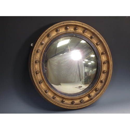 515 - A Regency circular convex Wall Mirror with ebonised slip ball frieze and moulded border detail, 1ft ... 