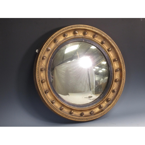 515 - A Regency circular convex Wall Mirror with ebonised slip ball frieze and moulded border detail, 1ft ... 