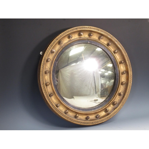 515 - A Regency circular convex Wall Mirror with ebonised slip ball frieze and moulded border detail, 1ft ... 