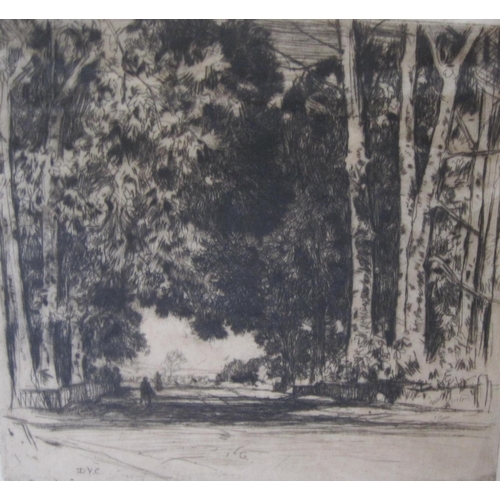 238 - SIR DAVID YOUNG CAMERON. R.A. The Avenue Gangunock, (1905), etching, pencil signed, unframed, pl.6 x... 