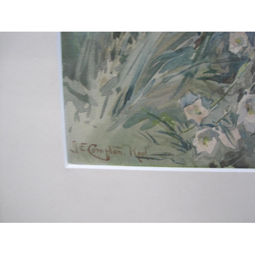 308 - T (?).E. COMPTON.' Wild Delphiniums', signed and inscribed 'Keel', watercolour, 9 3/4 x 7in