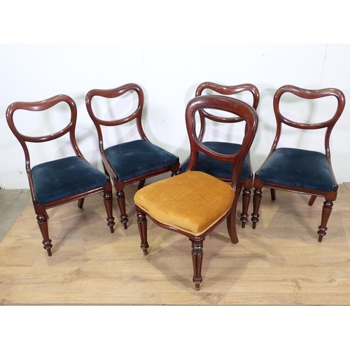 149 - A harlequin set of eight Victorian mahogany balloon back Dining Chairs