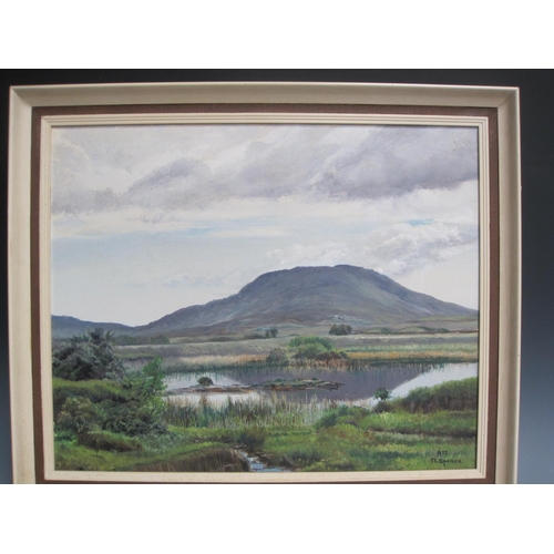 255 - T.E. SPENCE. An Irish lough landscape, signed and dated 1975, oil on canvas, 18 x 22 1/2in