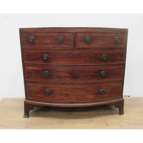 387 - A 19th Century mahogany and crossbanded bow fronted Chest of two short and three long drawers 3ft 6i... 