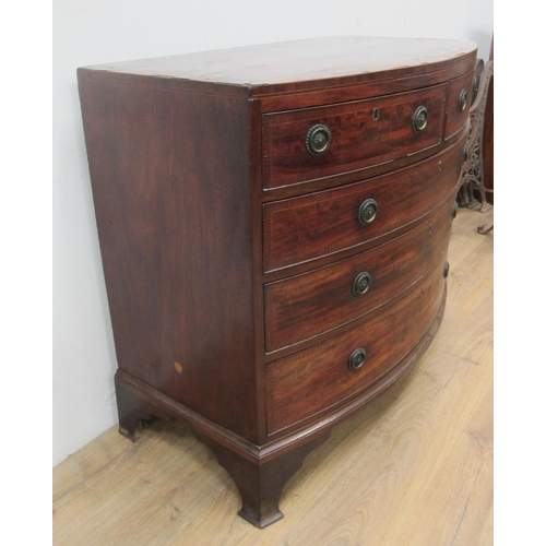 387 - A 19th Century mahogany and crossbanded bow fronted Chest of two short and three long drawers 3ft 6i... 