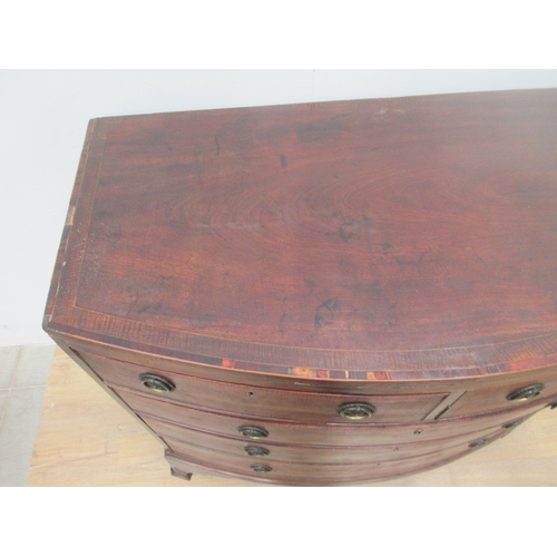 387 - A 19th Century mahogany and crossbanded bow fronted Chest of two short and three long drawers 3ft 6i... 