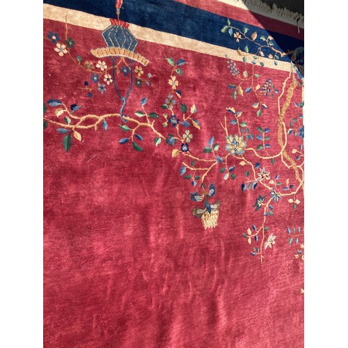 817 - A Chinese raspberry Carpet with tree design and blue border 12ft 2in L x 8ft 10in W