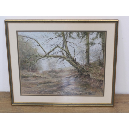 301 - RICHARD MATHER. A pastel depicting 'The Old Oak, Upper Hill Common, Herefordshire', signed with init... 