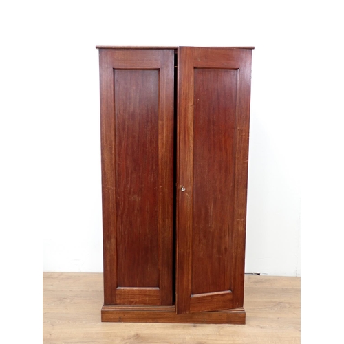 538 - A panelled mahogany Cupboard on plinth base, 5ft H x 2ft 8in W