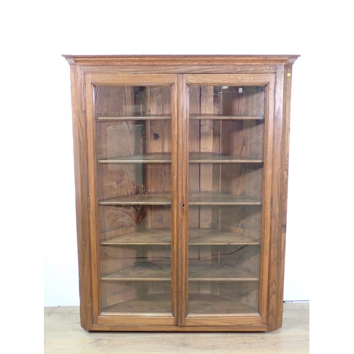 628 - An elm Corner Cabinet fitted pair of glazed doors 4ft 10in H x 3ft 11in W