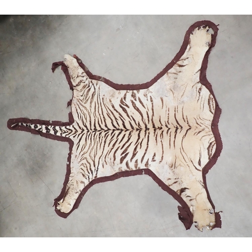 69 - An antique taxidermy Tiger Skin A/F