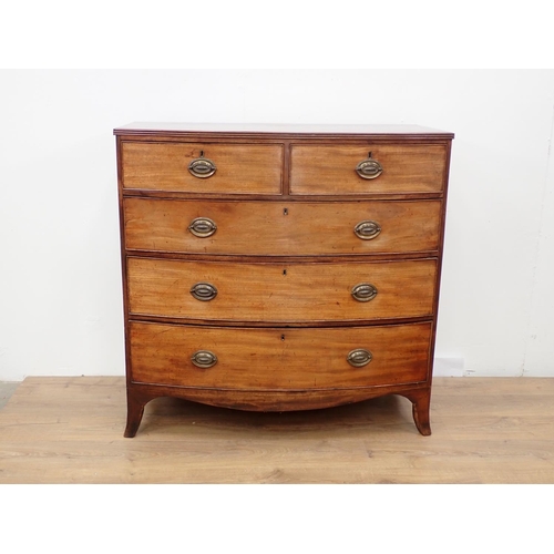 12 - A 19th Century mahogany bow fronted Chest of two short and three graduated long drawers mounted upon... 