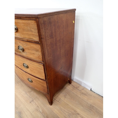 12 - A 19th Century mahogany bow fronted Chest of two short and three graduated long drawers mounted upon... 