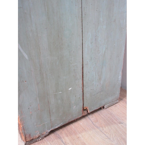 134 - A 19th Century Continental painted two door Cupboard 5ft 8in H x 4ft 2in W