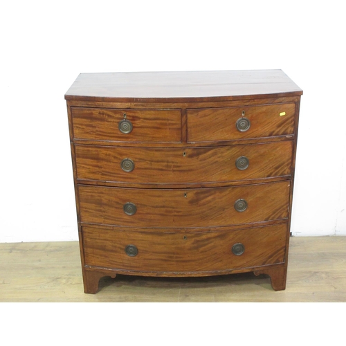 144 - A 19th Century mahogany bow fronted Chest of two short and three long drawers mounted upon bracket f... 