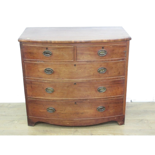 323 - A 19th Century mahogany bow fronted Chest of two short and three long drawers 3ft 4in W x 3ft 1in H