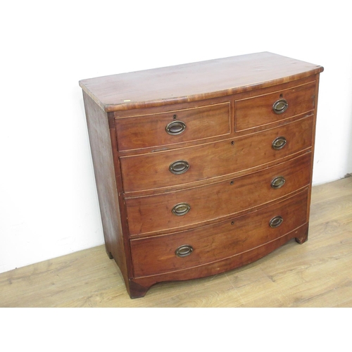 323 - A 19th Century mahogany bow fronted Chest of two short and three long drawers 3ft 4in W x 3ft 1in H