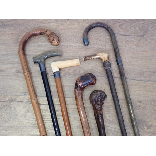 429 - Eight assorted Walking Sticks and Canes including malacca silver topped and horn handled