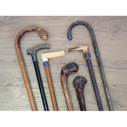 429 - Eight assorted Walking Sticks and Canes including malacca silver topped and horn handled