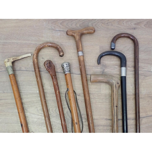 461 - Seven antique Walking Sticks and a Hunting Whip