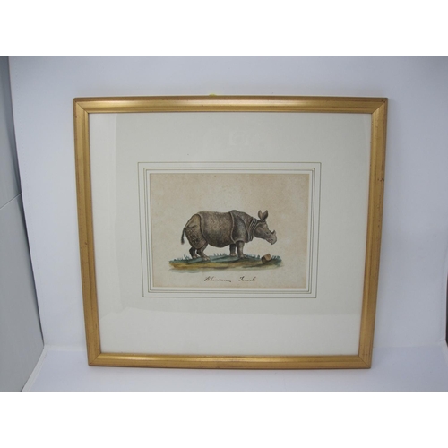 502 - ENGLISH SCHOOL, 19th CENTURY. Study of a Rhinoceros in a Landscape, inscribed 'Rhinoceros Female', w... 