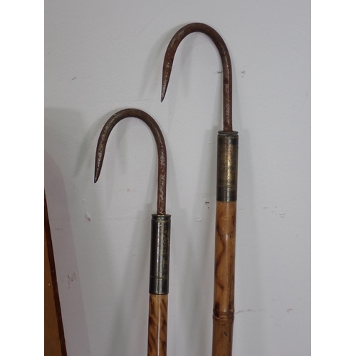 561 - A wooden Gun Case with Browning Logo and two bamboo handled Gaffs