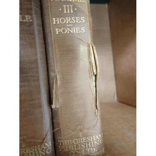 571 - Six volumes 'Livestock on the Farm' and a Welsh Pony Stud Book