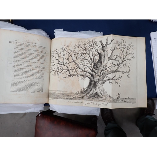 10 - EVELYN John, Silva and a Discourse of Forest Trees with notes by A Hunter, MDFRS, pub York 1776, ill... 