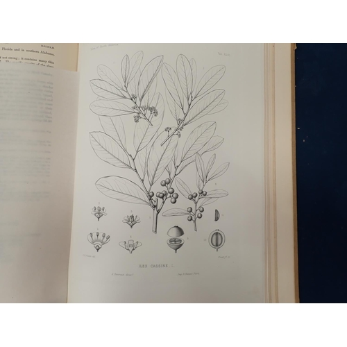 13 - SARGENT Charles Sprague, The Silva of North America, illustrated with figures drawn from nature by C... 