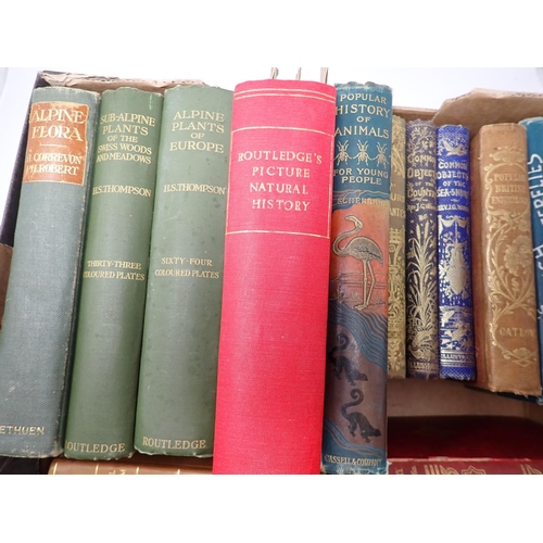 24 - Box of Natural History Books including Alpine Flora, History of Animals, Entomology, Animal Museum, ... 