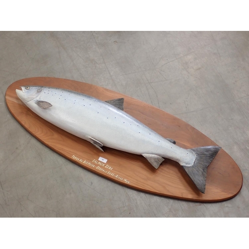 387 - A carved and painted Atlantic Salmon based on a 21lbs fish caught on the Glanwye Beat of the River W... 