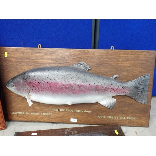 388 - A painted fibreglass model of a Rainbow Trout of 13lbs 4ozs on oak board, another of a smaller Rainb... 