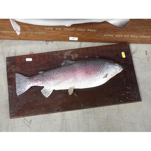 388 - A painted fibreglass model of a Rainbow Trout of 13lbs 4ozs on oak board, another of a smaller Rainb... 