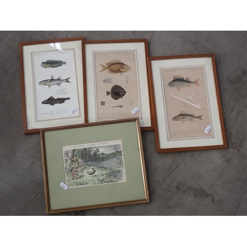 447 - A wooden box containing assorted Trout Flies, two boxes of assorted Tins and Tackle, a Fly Tying Vic... 