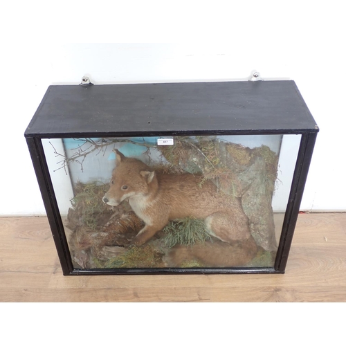 487 - An antique taxidermy Case displaying a Fox with cockerel prey 2ft 9in W x 2ft 1in H