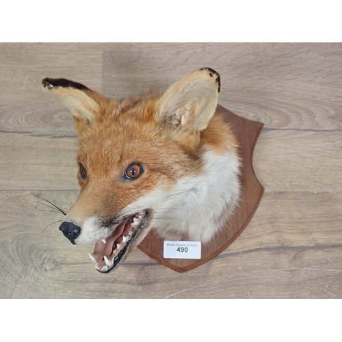 491 - A 20th Century taxidermy Fox Mask on shield