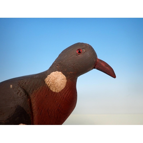 498 - A carved and painted Woodpigeon Decoy with glass eyes on ebonised stand 15in L