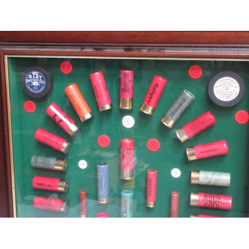 504 - A framed Cartridge Display with Eley and Kynoch Percussion Cap Tins and assorted bore Cartridges by ... 