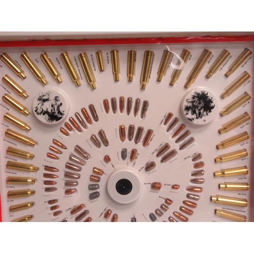 506 - A Norma Bullet Display containing various calibre inert Bullets and Cases 22in H x 22in W