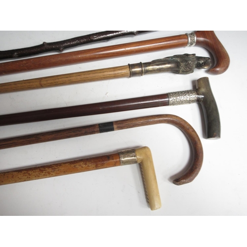 518 - Eight vintage Walking Sticks