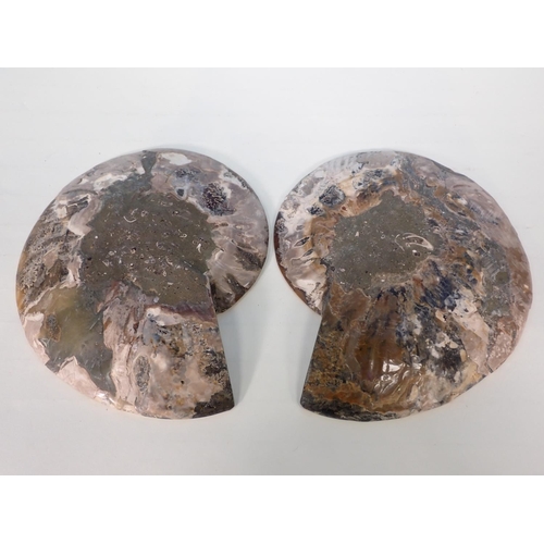 537 - A pair of halved Cleoniceras Ammonite 9 1/2in W approx