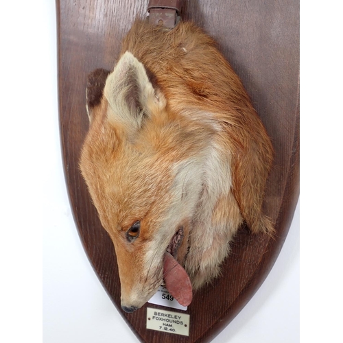 549 - A taxidermy Fox 'Death Mask' on oak shield with leather strap by Peter Spicer & Sons, with impressed... 