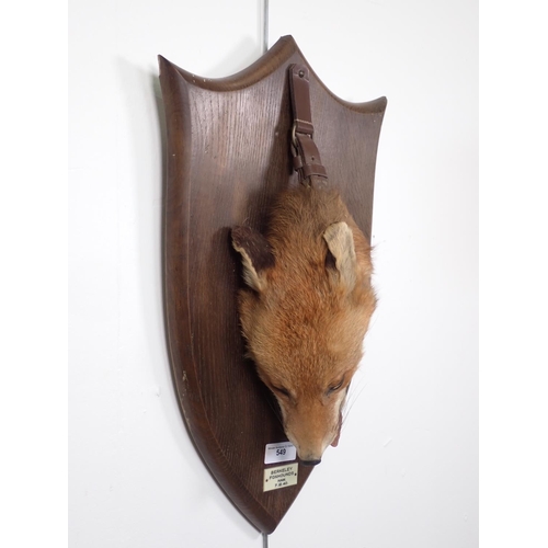 549 - A taxidermy Fox 'Death Mask' on oak shield with leather strap by Peter Spicer & Sons, with impressed... 